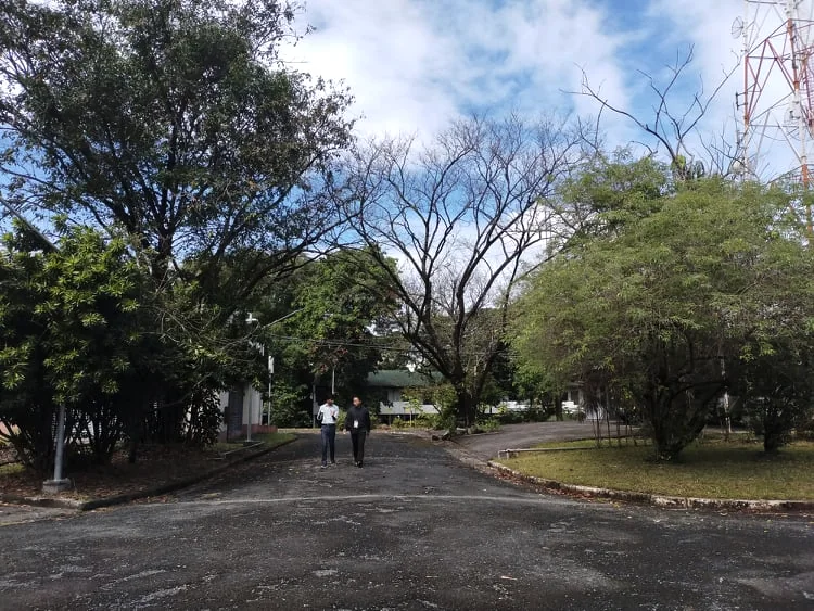 Arrival road and garden grounds at Radio Veritas Asia