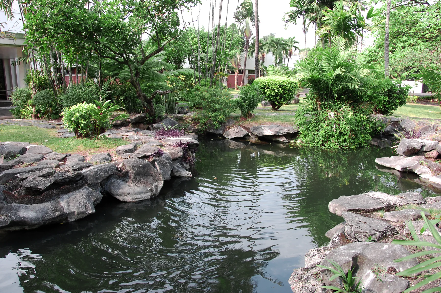 Radio Veritas Asia garden pond surrounded by tropical plants